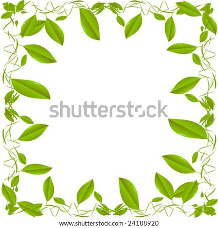 Green Leaf Border On White Background Stock Vector Illustration