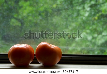Sunlit window with tomatoes and green background