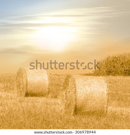 Late summer field with hay bales in warm sunlight - photo with soft oil paint filter - autumn concept
