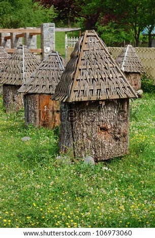 Bee-keeping in Abkhazia: hives in decks, roofing wickerwork
