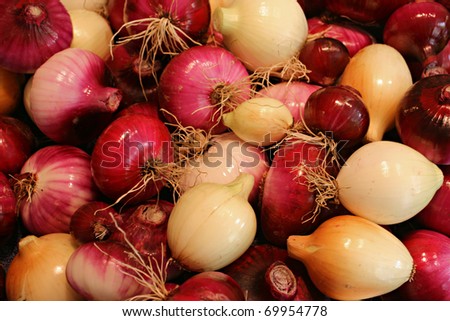 Red and White Onions