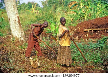 Buikwe Region, Uganda - July 26: An Unidentified Farmers Working On Their Fields On July 26, 2004 In Buikwe Region, Uganda. People In Rural Areas Of Uganda Depend On Farming.