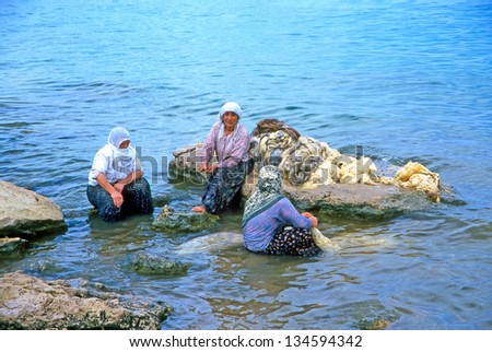 LAKE VAN, TURKEY - AUGUST 8: Women washed in the water of Lake Van raw wool on  August 8, 2000 in eastern Turkey. The water of Lake Van contains many alkaline salts that act like soap.