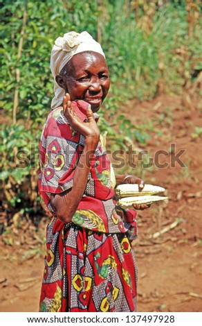 Buikwe Region, Uganda - July 26: An Unidentified Farmer With Sweet Corn Grown On July 26, 2004 In Buikwe Region, Uganda. People In Rural Areas Of Uganda Depend On Farming.