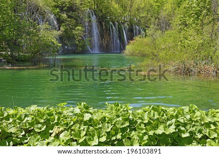 Waterfall in Plitvice National Park. Park is the oldest national park in Southeast Europe and the largest national park in Croatia is UNESCO World Heritage Site.