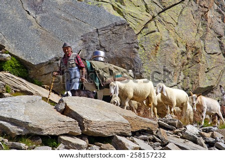 GRAN PARADISO, ITALY - AUGUST 14: Mountain landscape with a shepherd of sheep and goats on August 14, 2007 in the Gran Paradiso National Park in the Alps.