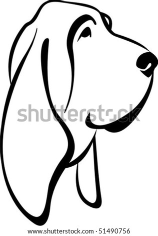 bloodhound dogs pictures. stock vector : Dog Bloodhound