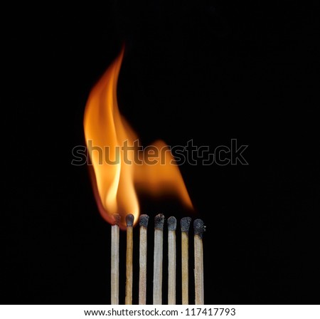 A line of safety matches showing burnt out matches
