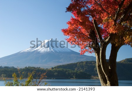 Lakeside view of Mount Fuji with beautiful Fall leaves in foreground