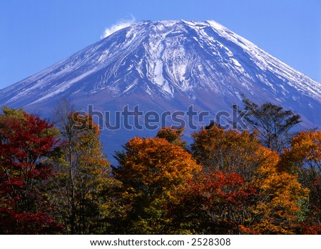 Fall colors with majestic Mount Fuji towering in the background.