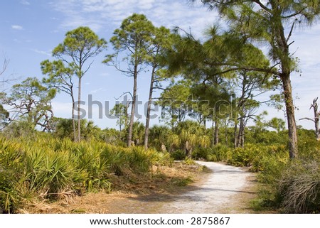 Caladesi Island, a natural beauty on Florida«s Gulf Coast