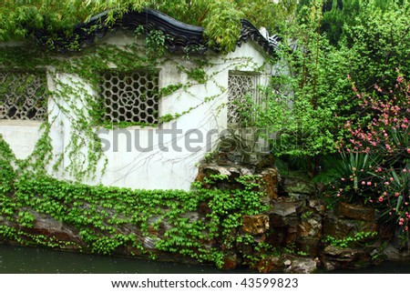 A beautiful ivy covered wall of a garden house in Suzhou, China