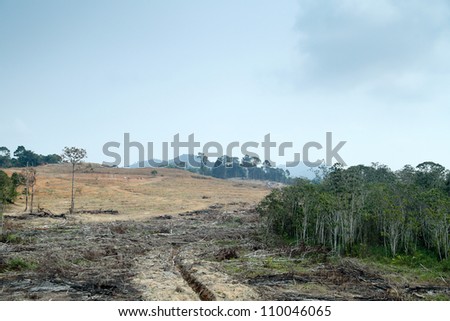 man-made destruction of tropical rain forest, and cutting up hill slopes for agricultural land use