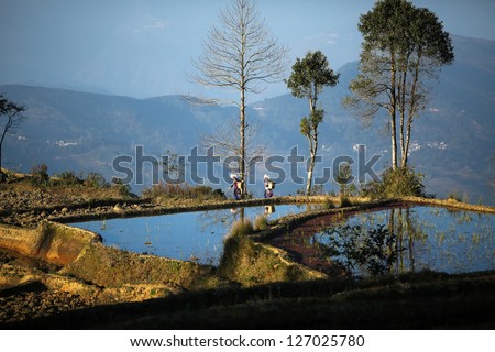 YUANYANG - DECEMBER 18: Two farmers wearing traditional costumes of the Yii ethnic minority people work in the terraced rice fields in Yuan Yang County, China on December 18, 2012.