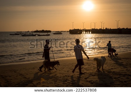 silhouettes of people walking their dogs on the beach at sunset, with fishing boats near a jetty beyond.