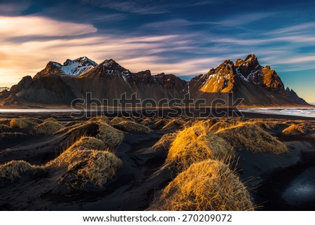 Sunset on the mountains and volcanic lava sand dunes by the sea in Stokksness, Iceland. The brown bushes are lavender plants desiccated in the winter but will flourish and bloom when spring comes.