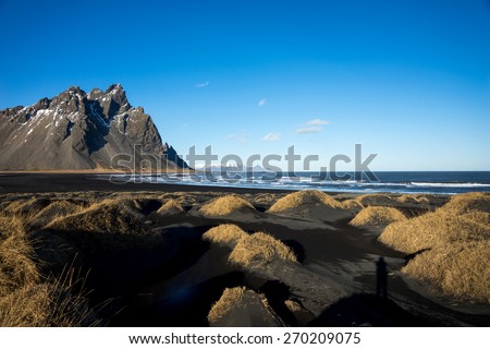 Mountains and volcanic lava sand dunes by the sea in Stokksness, Iceland. The brown bushes are lavender plants desiccated in the winter but will flourish and bloom when spring comes.