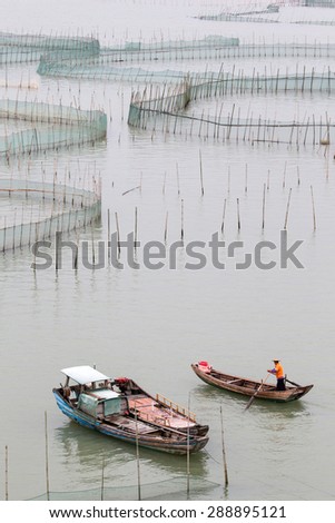 XIAPU, CHINA - JUNE 4, 2015: A farm worker rows out to inspect the nets of a large crab farm in the sea. Aquaculture is an important economy in the eastern coast seaside towns in Xiapu County.