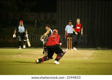 night cricket game