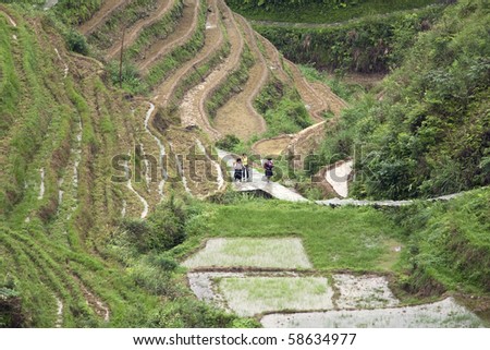 LONGJI, CHINA - MAY 22: Locals walk up the hills as they carry the load on their backs in Longji on May 22, 2010. The scenic Longji terraced rice fields is a popular tourist destination.