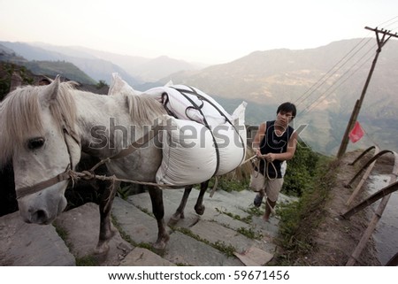 PING AN, CHINA - MAY 24: A Zhuong ethnic minority farmer uses the horse to carry sacks of grain up the hill in Ping An, May 24, 2010. The scenic hills of Ping An is a popular tourist destination.