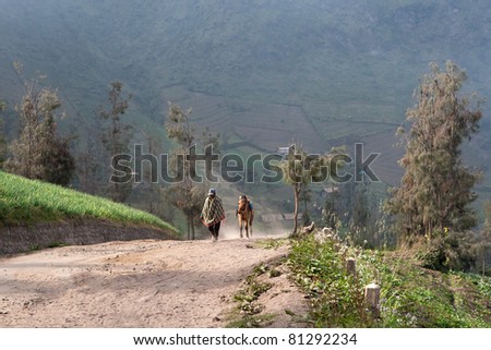 JAVA, INDONESIA - JULY 1: A farmer walks his horse at the Tengger National Park around Mount Bromo on July 1, 2011 in Java, Indonesia. Indonesia sits on the \'ring of fire\' with many active volcanoes