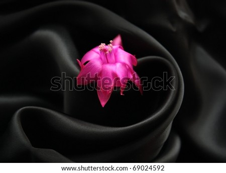Black silk and flower