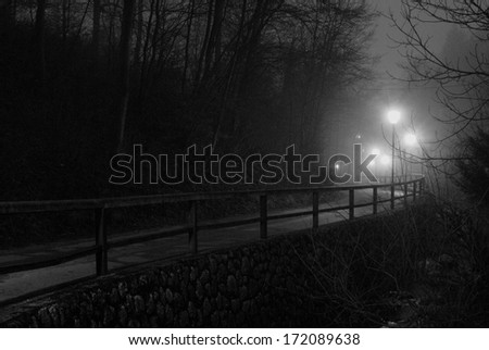 calm and foggy path in wintertime at night