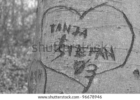 heart made in bark - showing real love, rural love