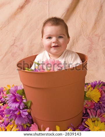 Baby In Pot