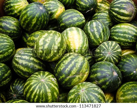 Green striped watermelon at produce stand in California
