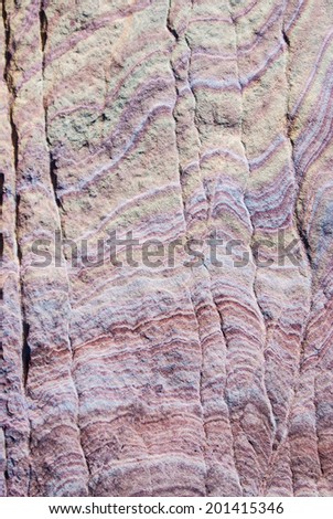 Sandstone rock wall of swirls and spines in earth-tone colors
