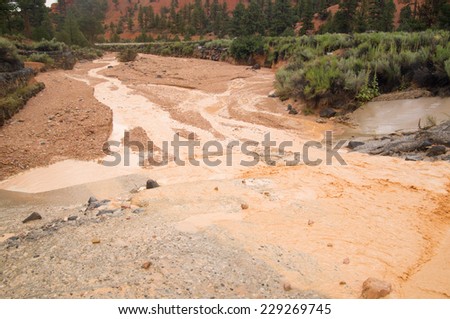 Summer storms cause flash flood at Red Canyon Utah USA