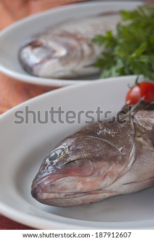 Grouper and dentex baked with tomatoes, delicious fish of the italian cuisine