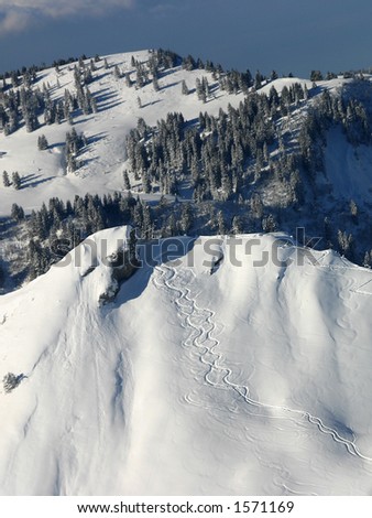 Off-slopes ski tracks in the Alps.