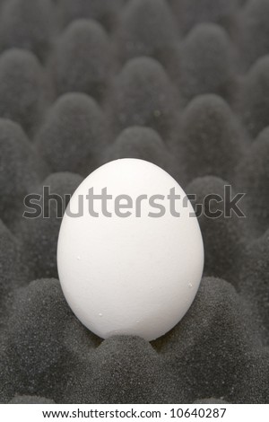 egg in a shipping foam concept