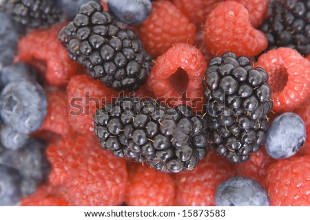 colorful berry background texture