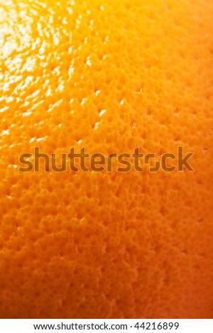 close up shot of a orange peel