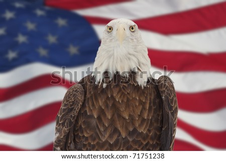 american flag background with eagle. American+flag+ackground+