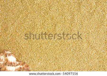 The cockleshell lays on gold sand