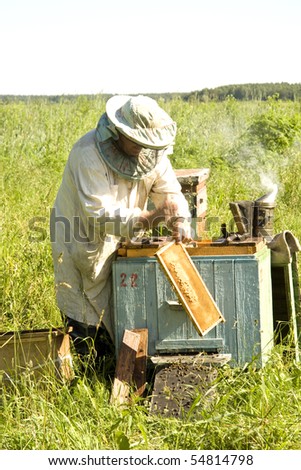 The beekeeper gets frameworks from beehives in the field near wood