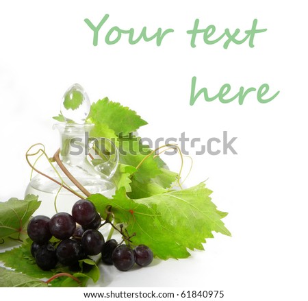 wine carafe and young grape vine branch isolated on a white background