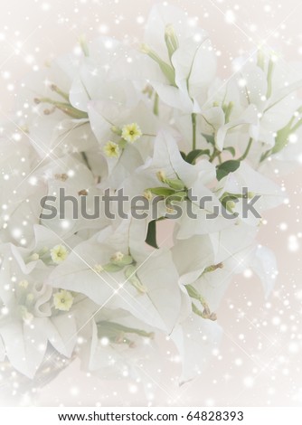 wedding invitation with bouquet of white flowers(bougainville) or Christmas Card