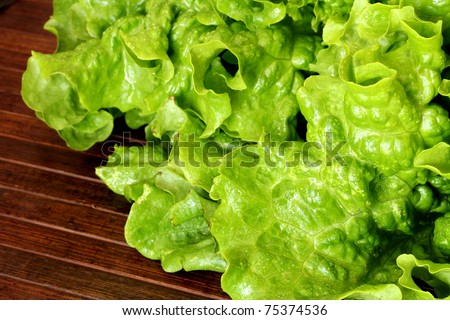 macro view of Butter Lettuce on wooden background