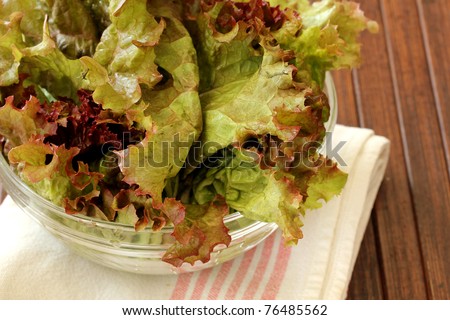 salad with Butter Lettuce on wooden background