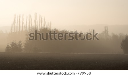Heavy mist in the cold winter morning; light and mist form the layers of the distant trees.