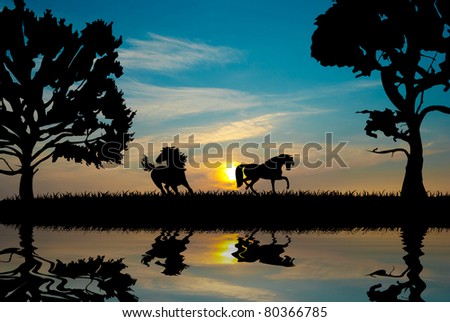 horses silhouettes in sunset