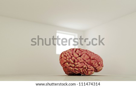big brain in a modern empty room