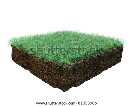 soil section isolated on white background