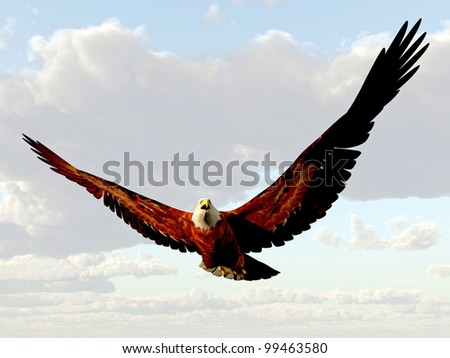 American Eagle Flying In The Sky Stock Photo 99463580 : Shutterstock